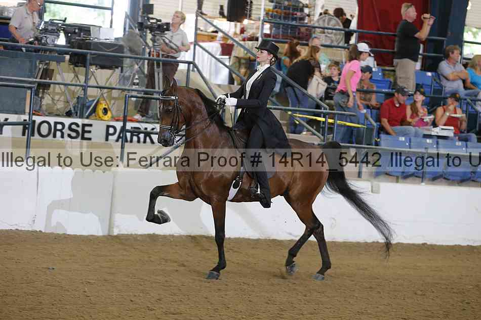 Proof Number 14r14_5442