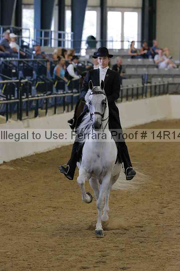 Proof Number 14r14_5443