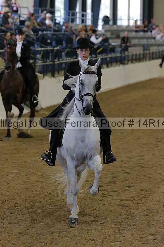 Proof Number 14r14_5444