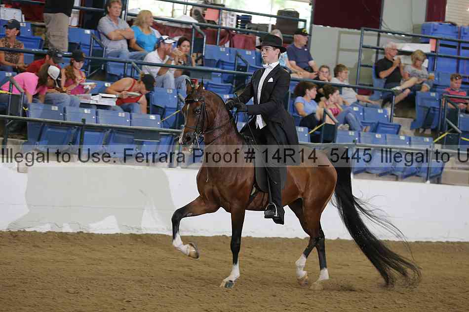 Proof Number 14r14_5445