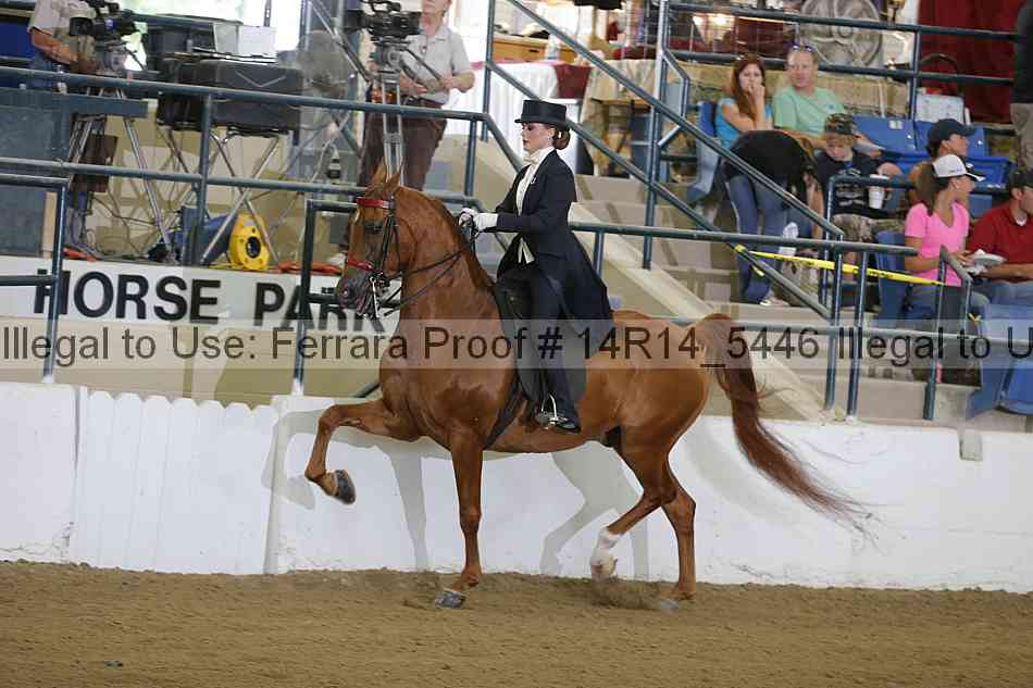 Proof Number 14r14_5446