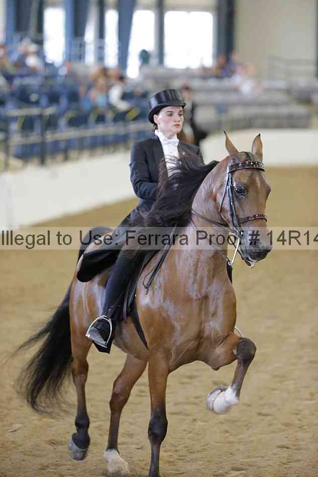 Proof Number 14r14_5447