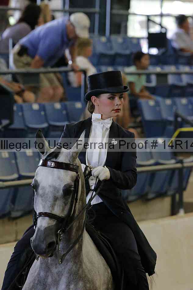 Proof Number 14r14_5449