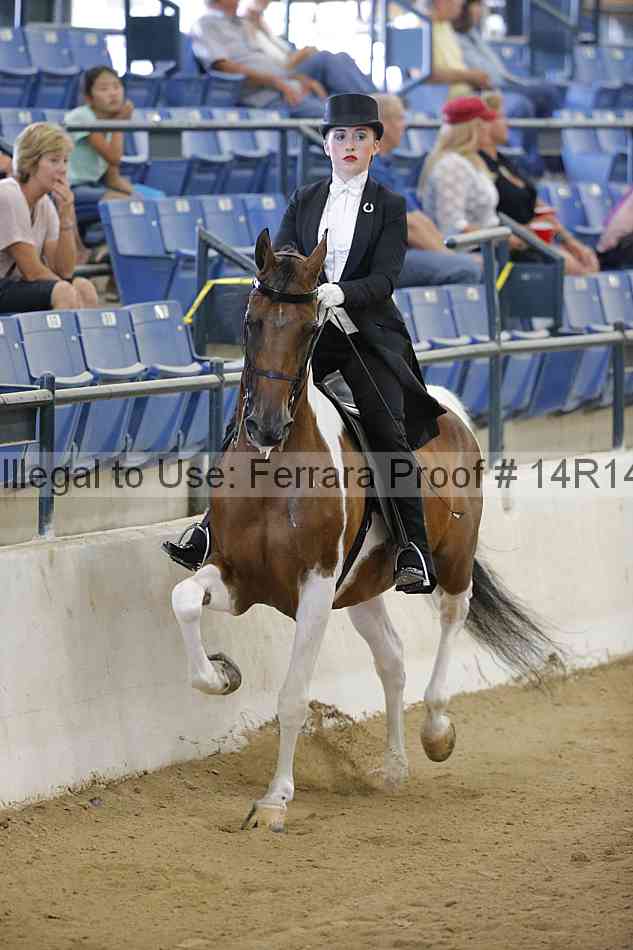 Proof Number 14r14_5451