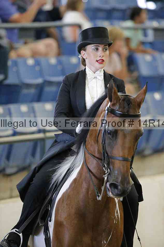 Proof Number 14r14_5452