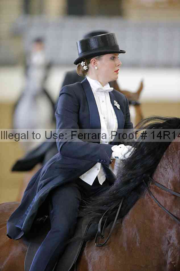 Proof Number 14r14_5453