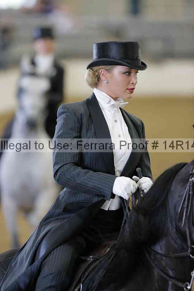 Proof Number 14r14_5454