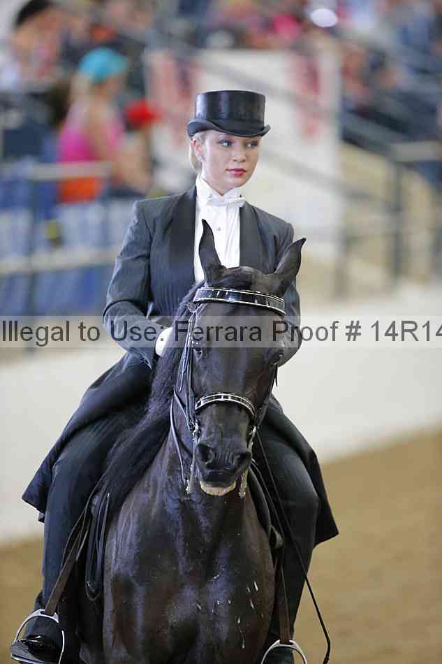 Proof Number 14r14_5460