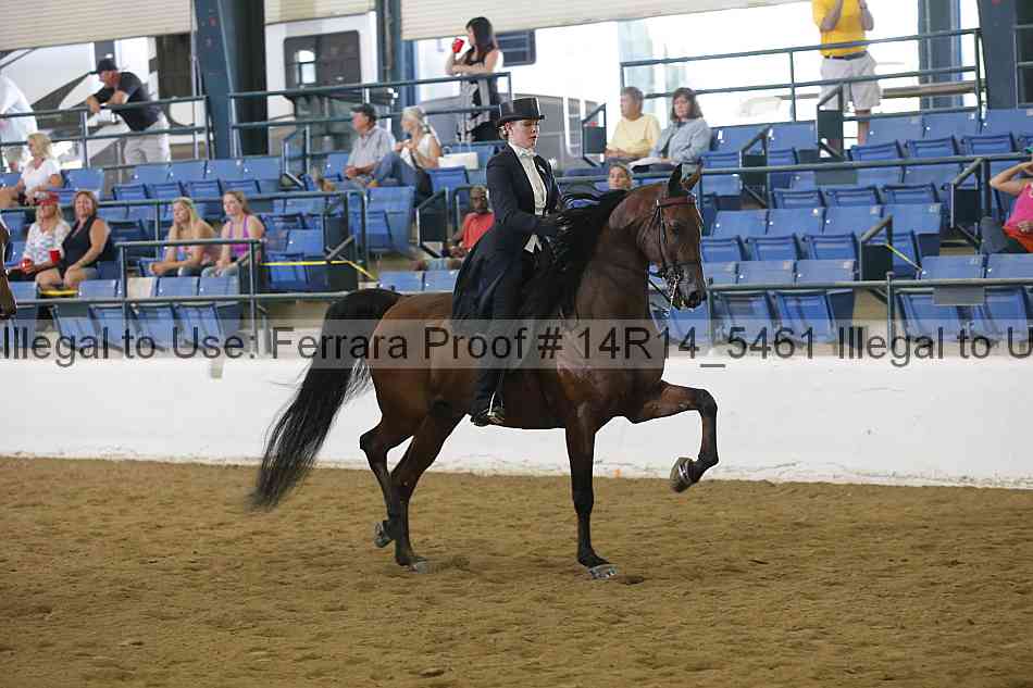 Proof Number 14r14_5461