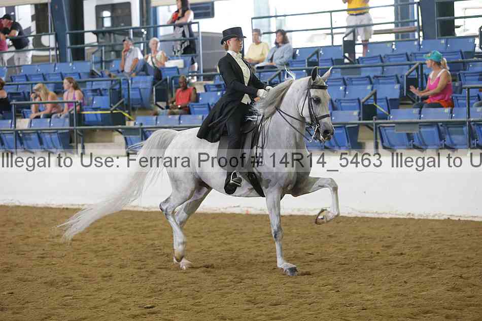 Proof Number 14r14_5463