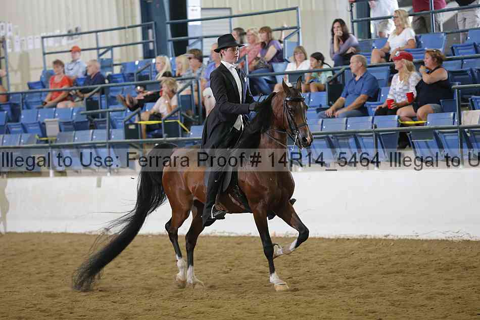 Proof Number 14r14_5464