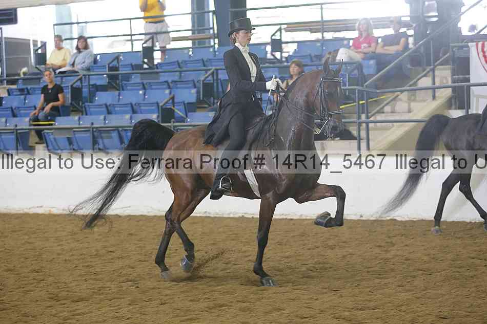 Proof Number 14r14_5467