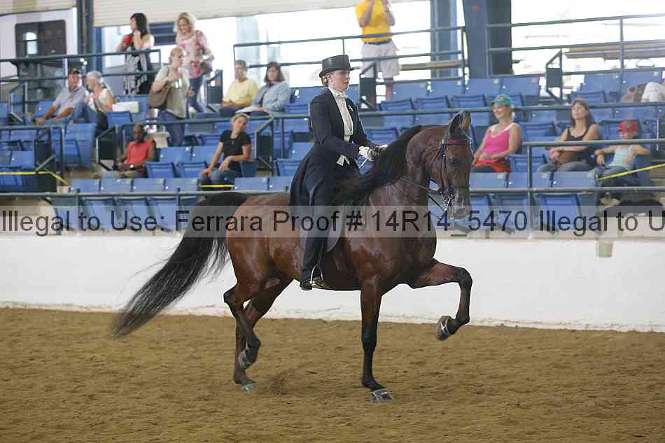 Proof Number 14r14_5470