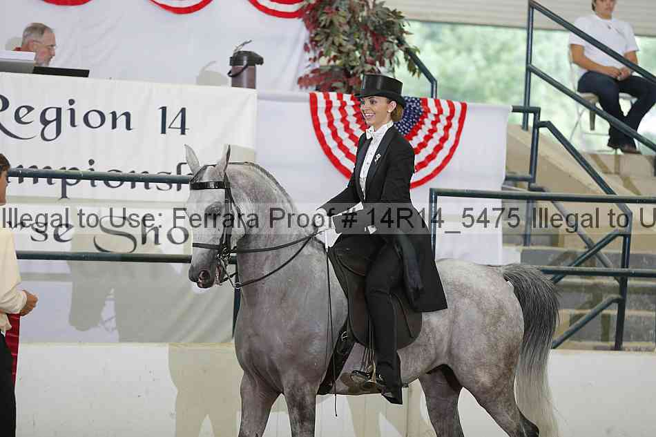 Proof Number 14r14_5475