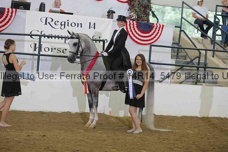 Proof Number 14r14_5479