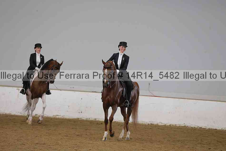 Proof Number 14r14_5482