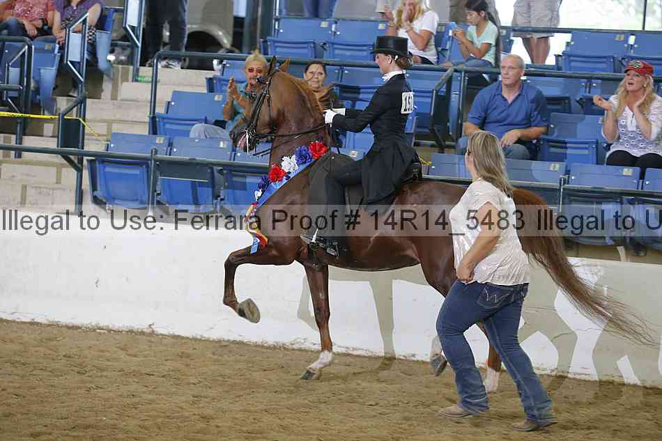 Proof Number 14r14_5483