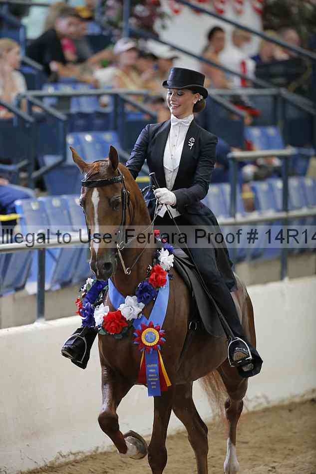 Proof Number 14r14_5484