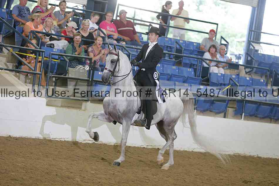 Proof Number 14r14_5487