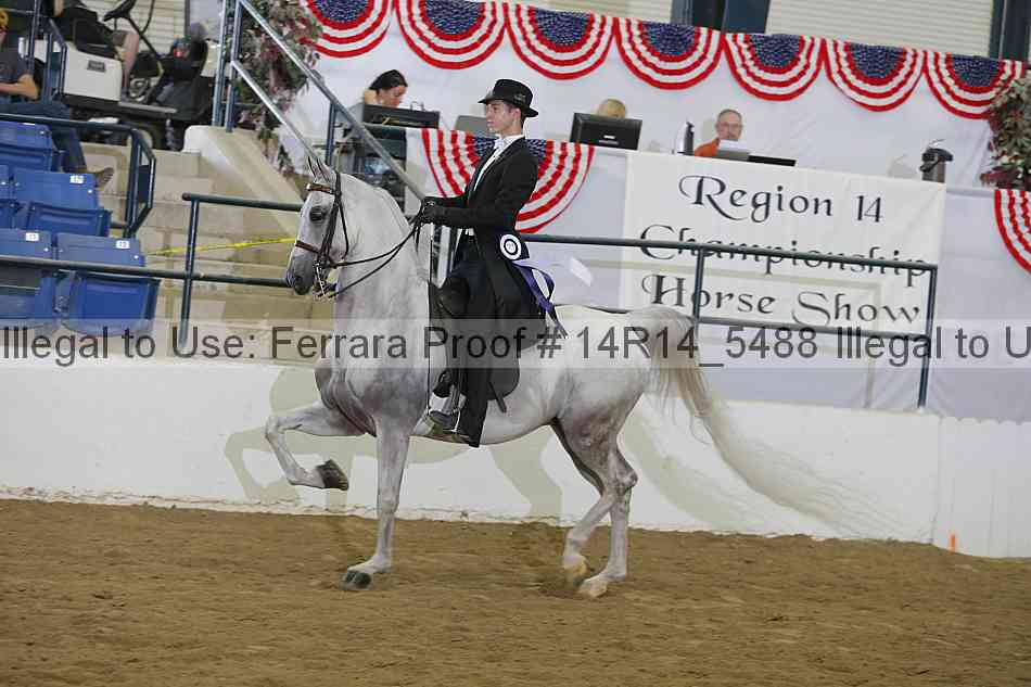 Proof Number 14r14_5488