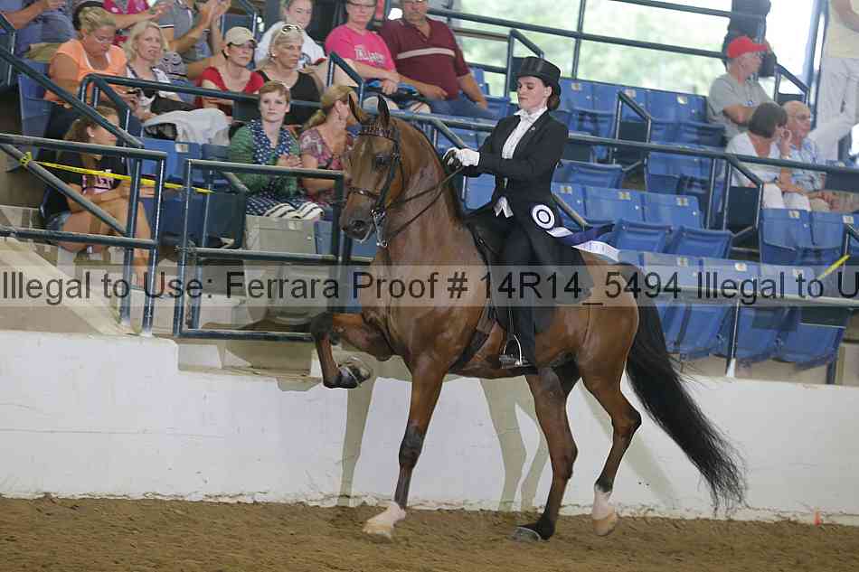 Proof Number 14r14_5494