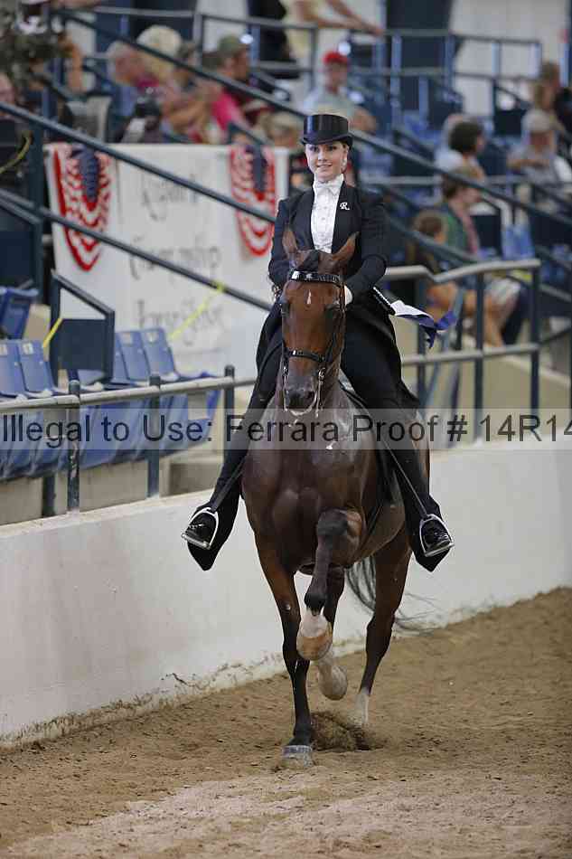 Proof Number 14r14_5495