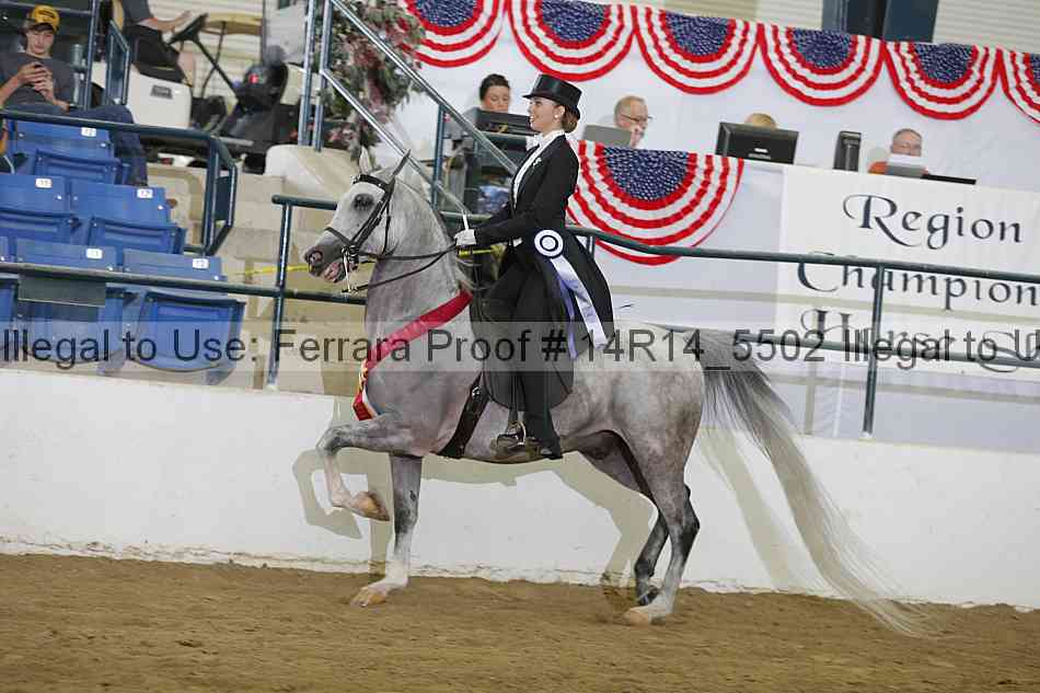 Proof Number 14r14_5502