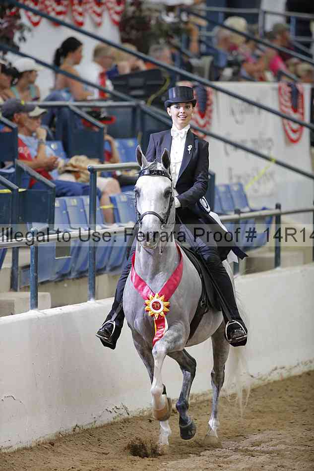 Proof Number 14r14_5505