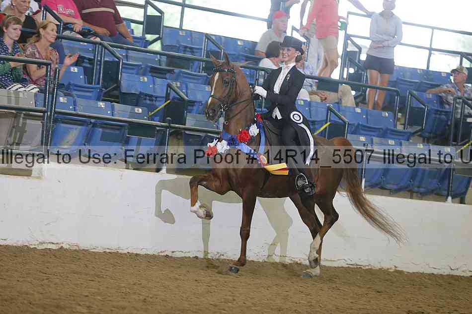 Proof Number 14r14_5507