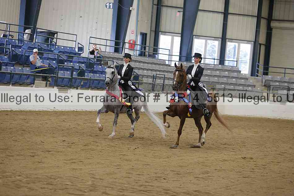 Proof Number 14r14_5513
