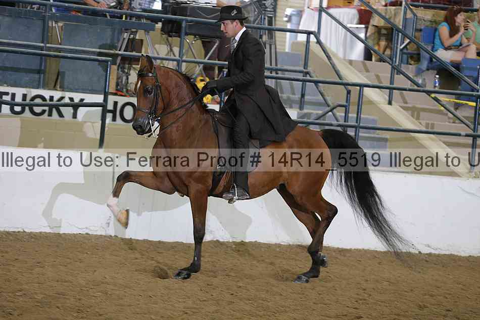 Proof Number 14r14_5519