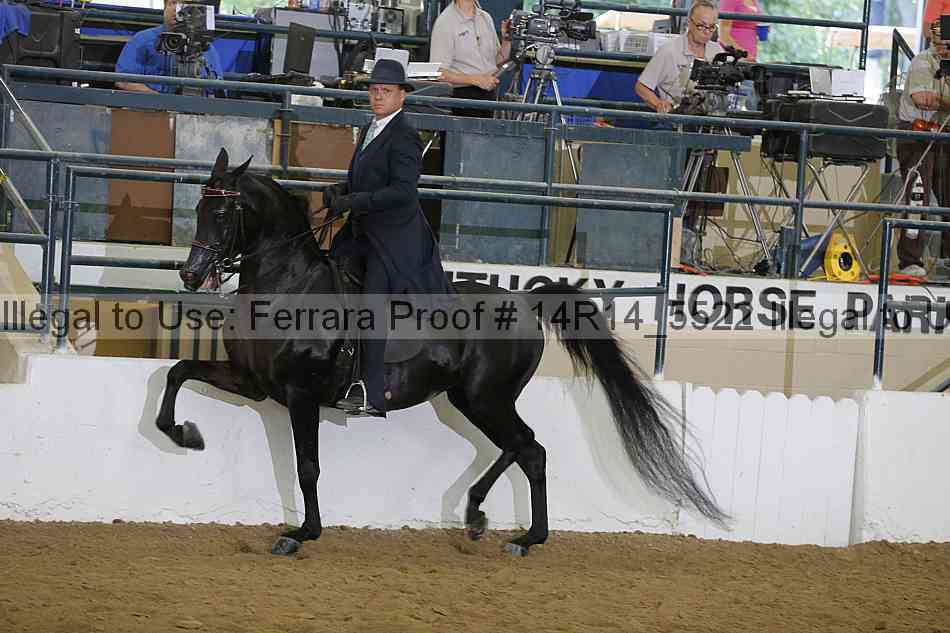 Proof Number 14r14_5522