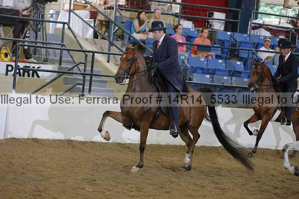 Proof Number 14r14_5533