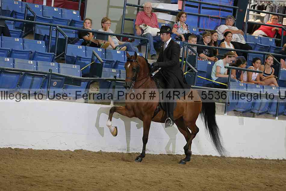 Proof Number 14r14_5536