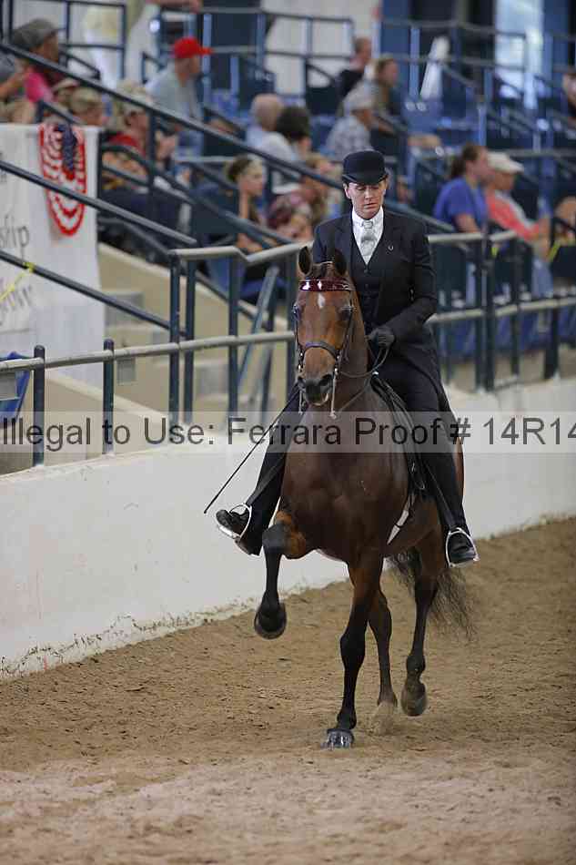 Proof Number 14r14_5538