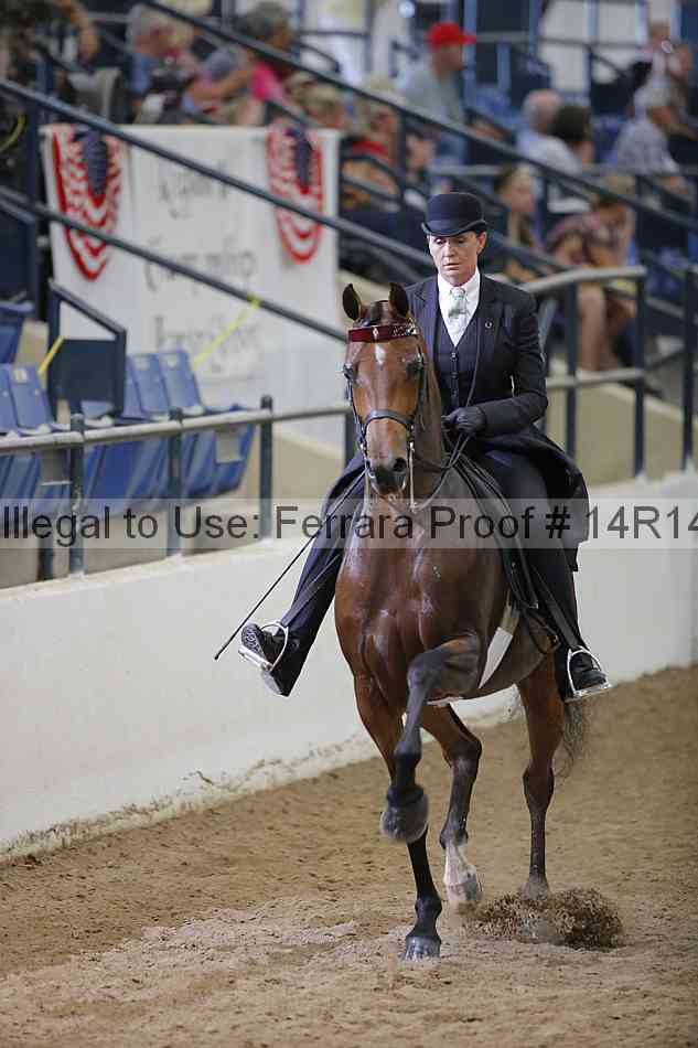 Proof Number 14r14_5539