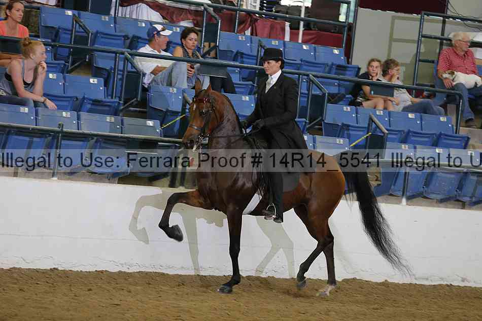 Proof Number 14r14_5541