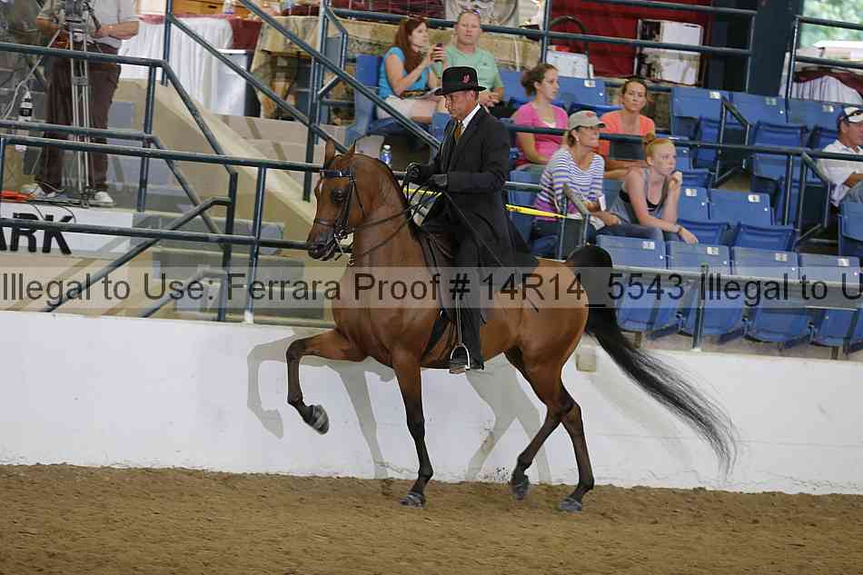 Proof Number 14r14_5543
