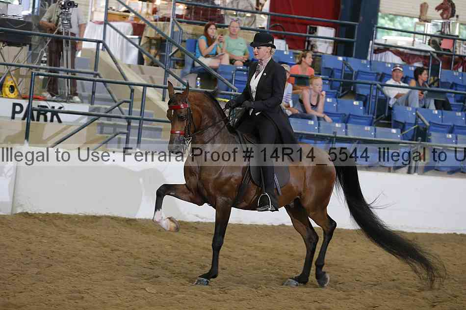 Proof Number 14r14_5544