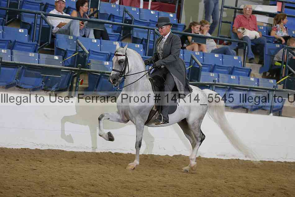 Proof Number 14r14_5545