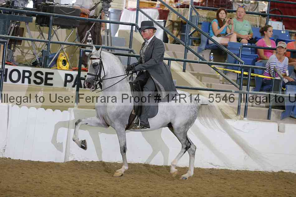 Proof Number 14r14_5546