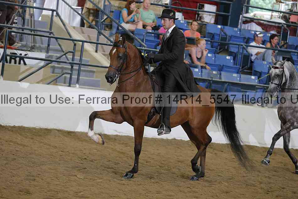 Proof Number 14r14_5547