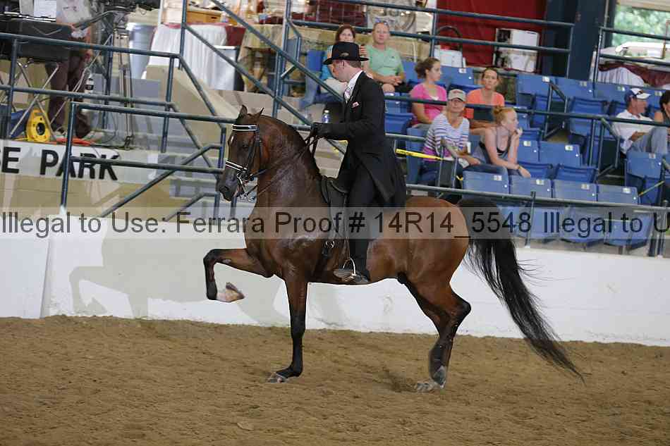 Proof Number 14r14_5548