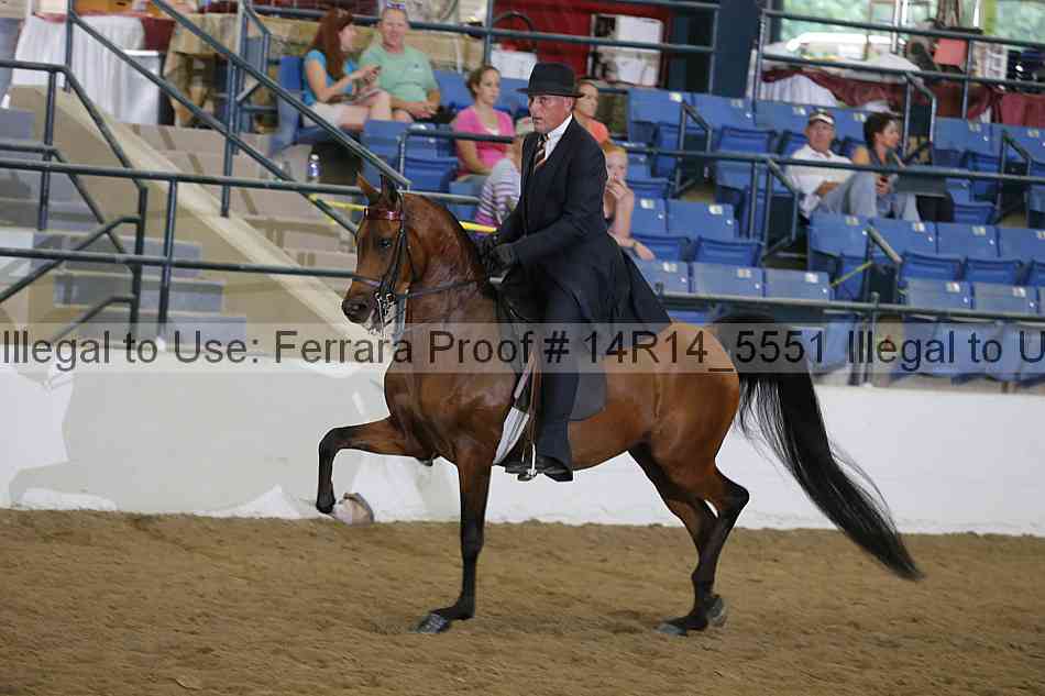 Proof Number 14r14_5551