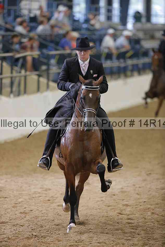 Proof Number 14r14_5555