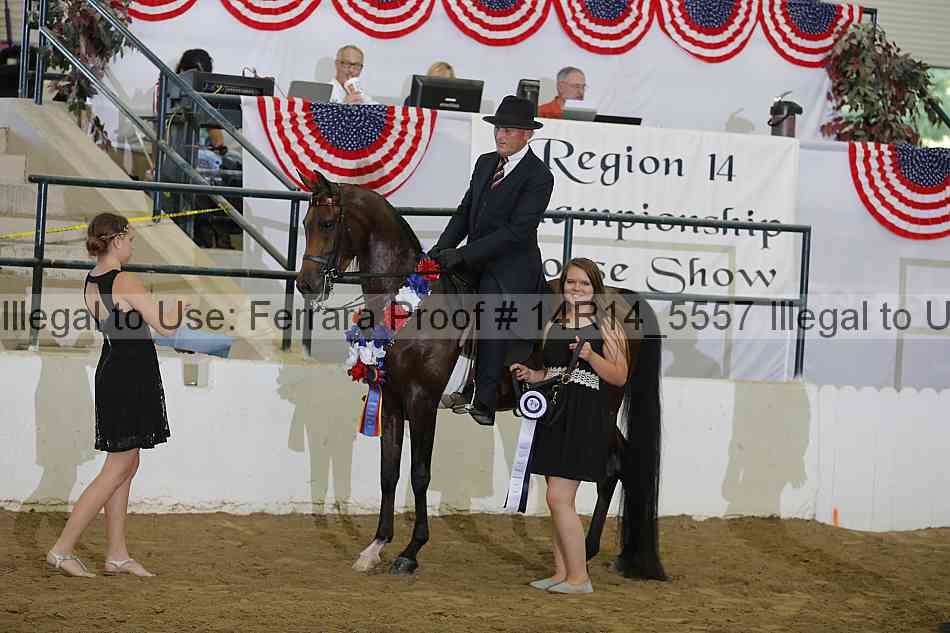 Proof Number 14r14_5557