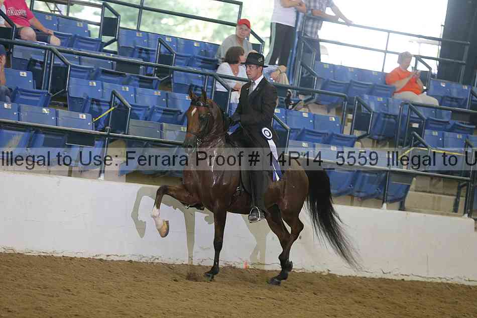 Proof Number 14r14_5559