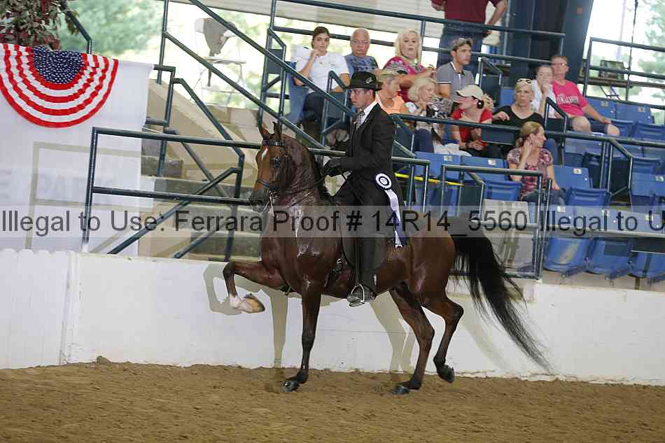 Proof Number 14r14_5560