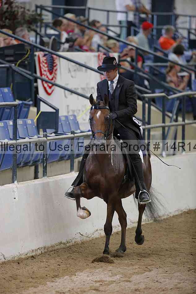 Proof Number 14r14_5563