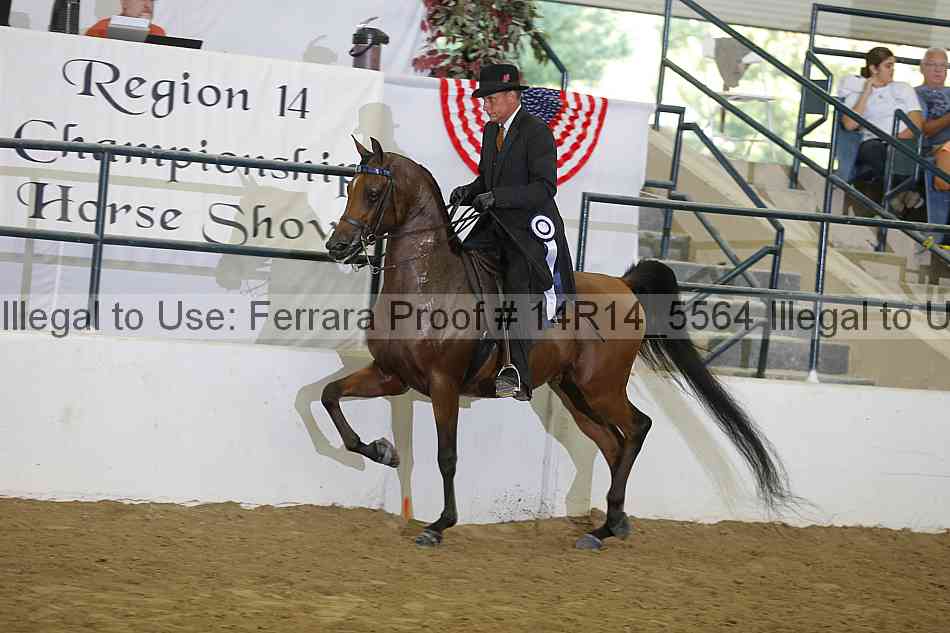 Proof Number 14r14_5564